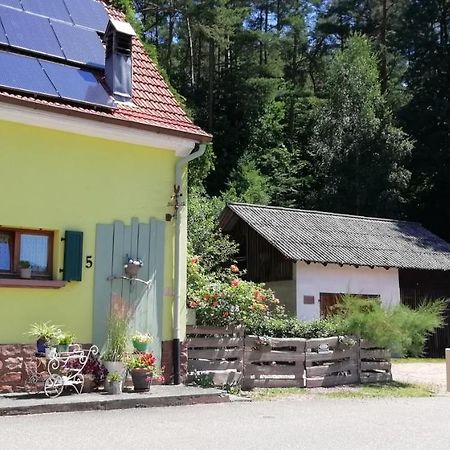 Willa Violeta Dambach Zewnętrze zdjęcie