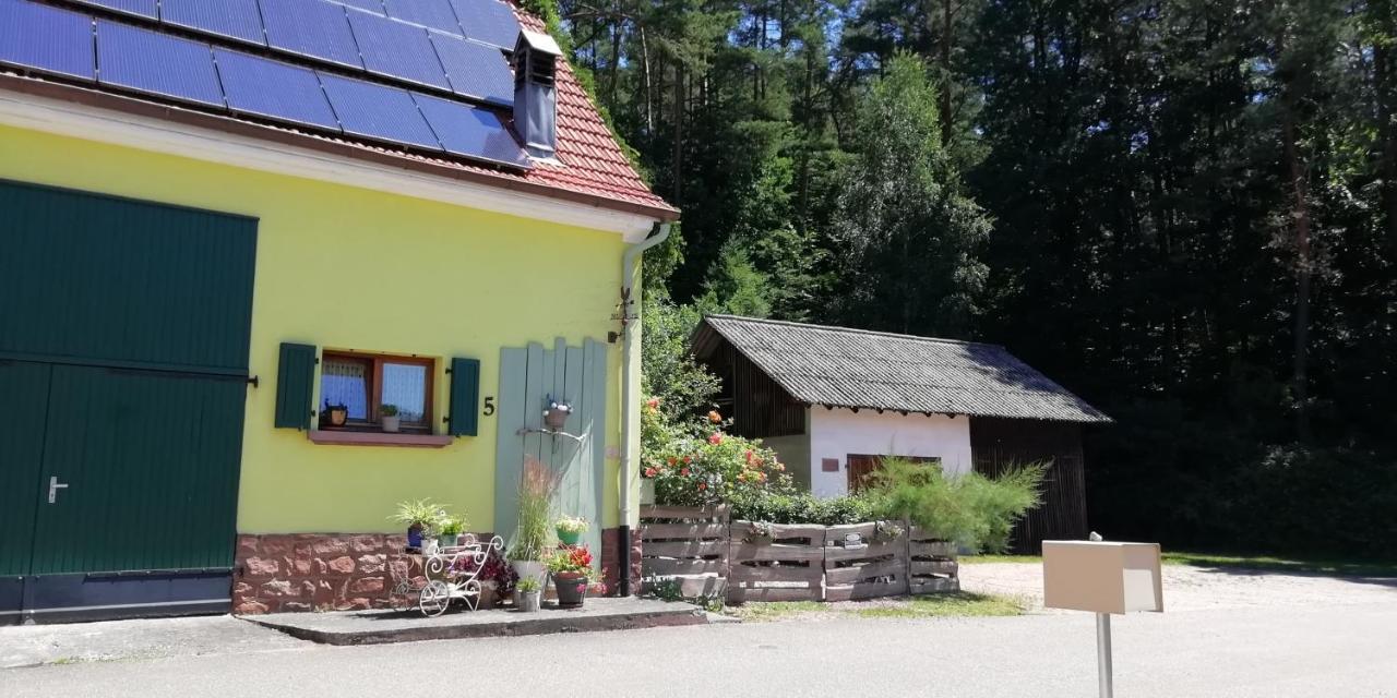 Willa Violeta Dambach Zewnętrze zdjęcie